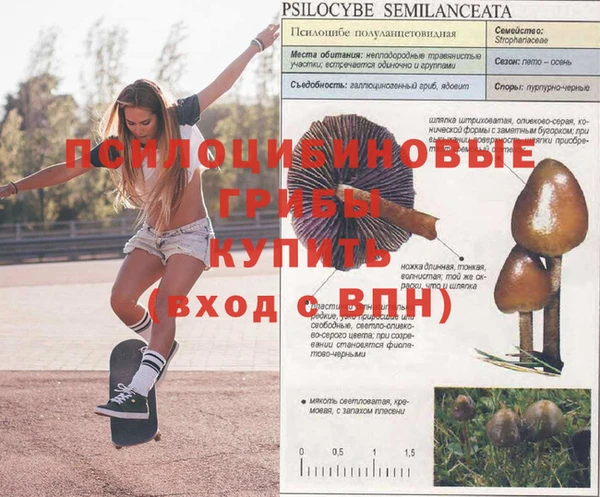скорость Богданович